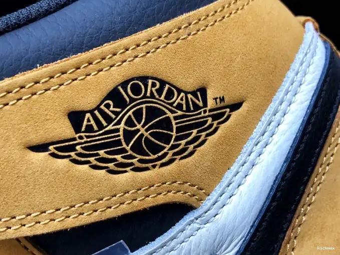 Cheap Jordan Rookie 555088-700 Air the OG High Retro Year 1 of 0425